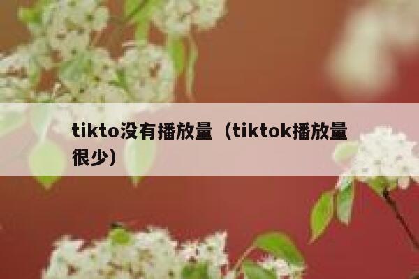 tikto没有播放量（tiktok播放量很少） 第1张