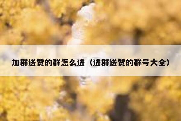 加群送赞的群怎么进（进群送赞的群号大全） 第1张