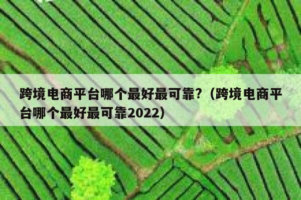 跨境电商平台哪个最好最可靠?（跨境电商平台哪个最好最可靠2022） 第1张