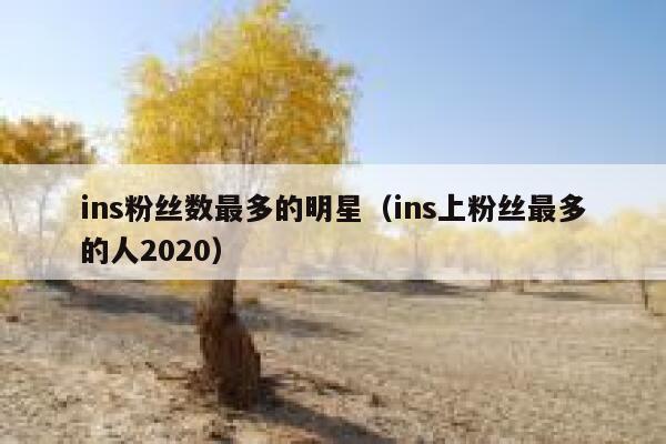 ins粉丝数最多的明星（ins上粉丝最多的人2020） 第1张