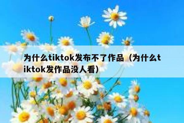 为什么tiktok发布不了作品（为什么tiktok发作品没人看） 第1张