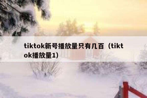 tiktok新号播放量只有几百（tiktok播放量1） 第1张