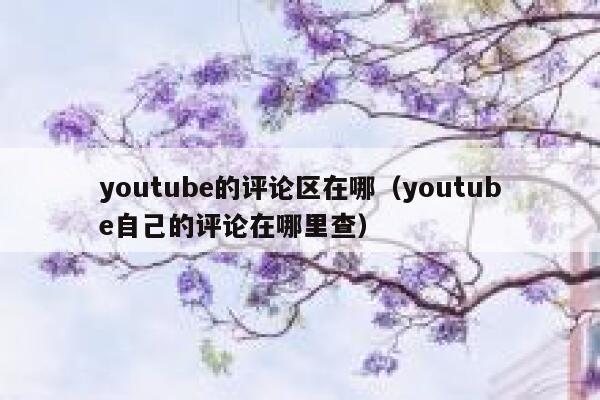 youtube的评论区在哪（youtube自己的评论在哪里查） 第1张