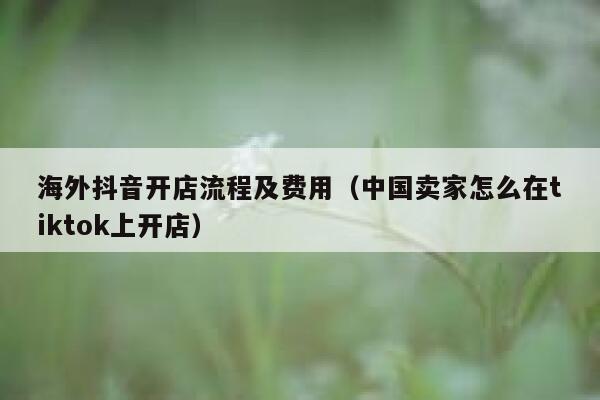 海外抖音开店流程及费用（中国卖家怎么在tiktok上开店） 第1张