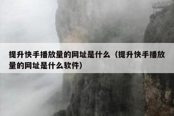 提升快手播放量的网址是什么（提升快手播放量的网址是什么软件） 第1张