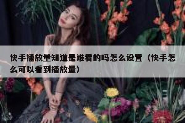 快手播放量知道是谁看的吗怎么设置（快手怎么可以看到播放量） 第1张