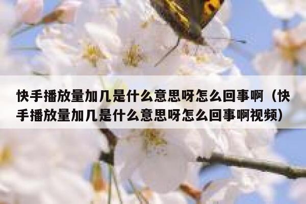 快手播放量加几是什么意思呀怎么回事啊（快手播放量加几是什么意思呀怎么回事啊视频） 第1张