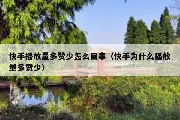 快手播放量多赞少怎么回事（快手为什么播放量多赞少） 第1张