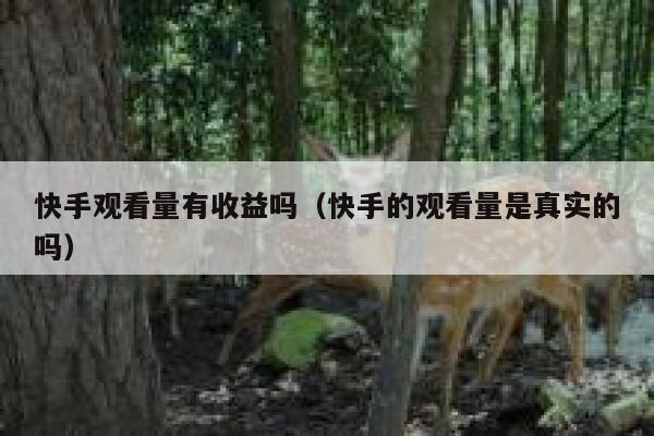 快手观看量有收益吗（快手的观看量是真实的吗） 第1张
