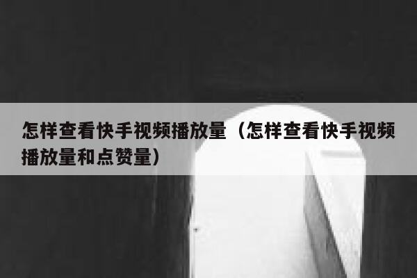 怎样查看快手视频播放量（怎样查看快手视频播放量和点赞量） 第1张