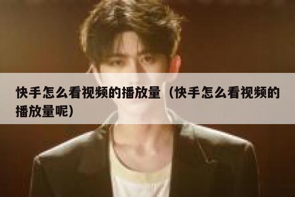 快手怎么看视频的播放量（快手怎么看视频的播放量呢） 第1张