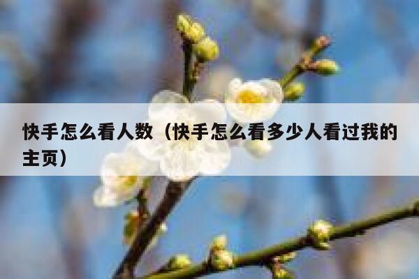 快手怎么看人数（快手怎么看多少人看过我的主页） 第1张