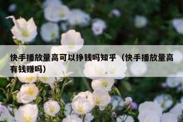 快手播放量高可以挣钱吗知乎（快手播放量高有钱赚吗） 第1张