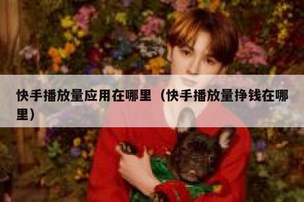 快手播放量应用在哪里（快手播放量挣钱在哪里） 第1张