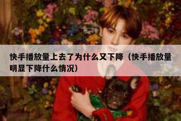 快手播放量上去了为什么又下降（快手播放量明显下降什么情况） 第1张