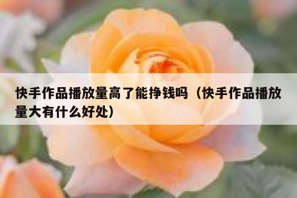 快手作品播放量高了能挣钱吗（快手作品播放量大有什么好处） 第1张