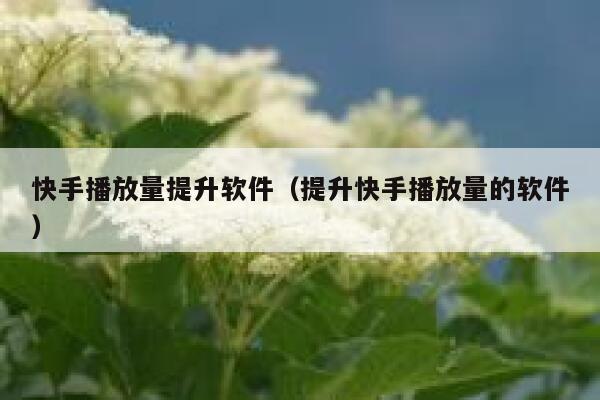 快手播放量提升软件（提升快手播放量的软件） 第1张