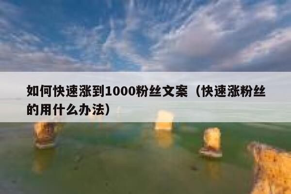如何快速涨到1000粉丝文案（快速涨粉丝的用什么办法） 第1张