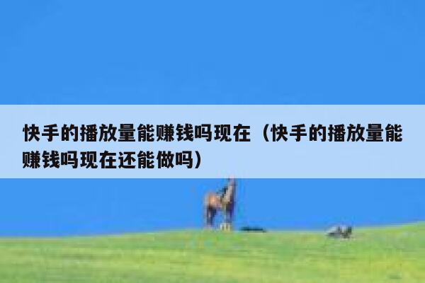 快手的播放量能赚钱吗现在（快手的播放量能赚钱吗现在还能做吗） 第1张