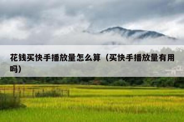 花钱买快手播放量怎么算（买快手播放量有用吗） 第1张