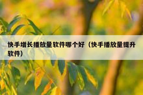 快手增长播放量软件哪个好（快手播放量提升软件） 第1张
