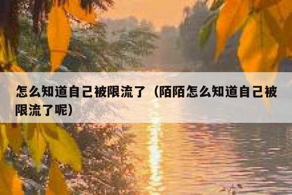 怎么知道自己被限流了（陌陌怎么知道自己被限流了呢） 第1张