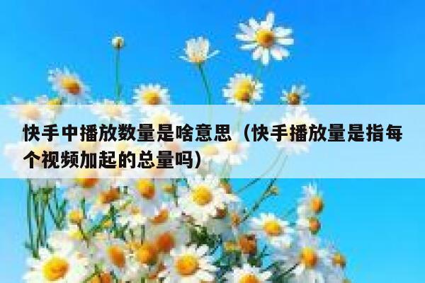 快手中播放数量是啥意思（快手播放量是指每个视频加起的总量吗） 第1张