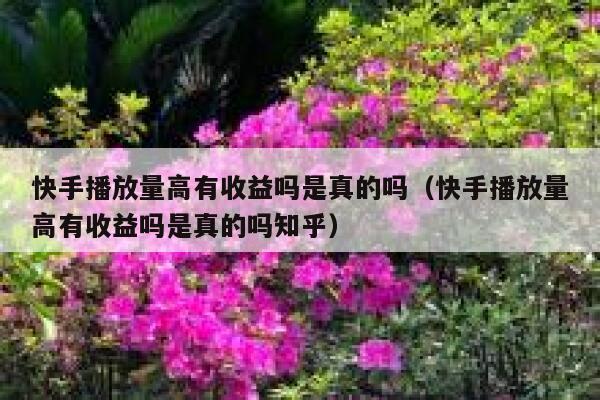 快手播放量高有收益吗是真的吗（快手播放量高有收益吗是真的吗知乎） 第1张