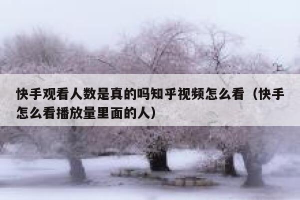 快手观看人数是真的吗知乎视频怎么看（快手怎么看播放量里面的人） 第1张