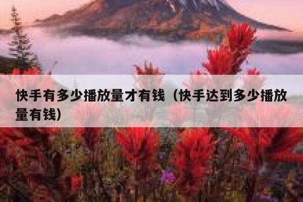 快手有多少播放量才有钱（快手达到多少播放量有钱） 第1张