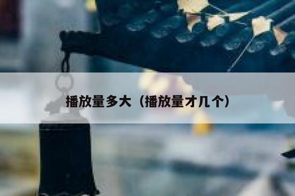 播放量多大（播放量才几个） 第1张