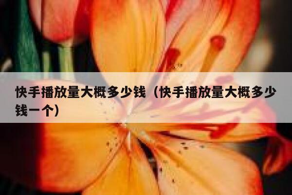 快手播放量大概多少钱（快手播放量大概多少钱一个） 第1张