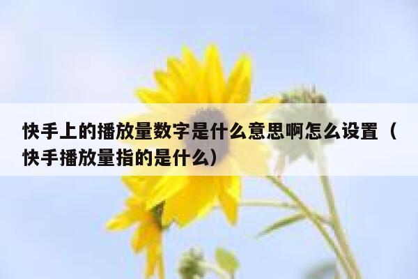 快手上的播放量数字是什么意思啊怎么设置（快手播放量指的是什么） 第1张