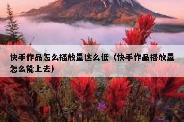 快手作品怎么播放量这么低（快手作品播放量怎么能上去） 第1张