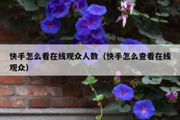 快手怎么看在线观众人数（快手怎么查看在线观众） 第1张