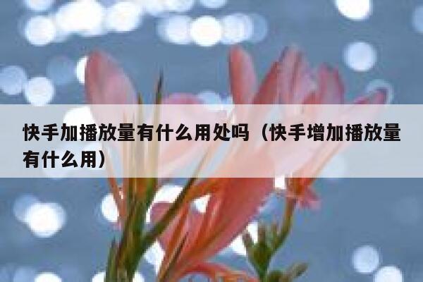 快手加播放量有什么用处吗（快手增加播放量有什么用） 第1张