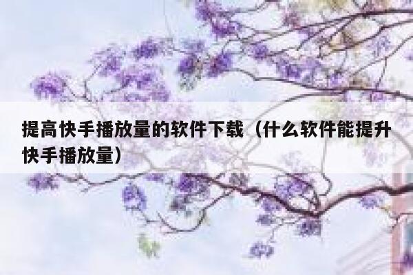 提高快手播放量的软件下载（什么软件能提升快手播放量） 第1张