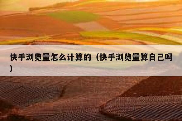 快手浏览量怎么计算的（快手浏览量算自己吗） 第1张