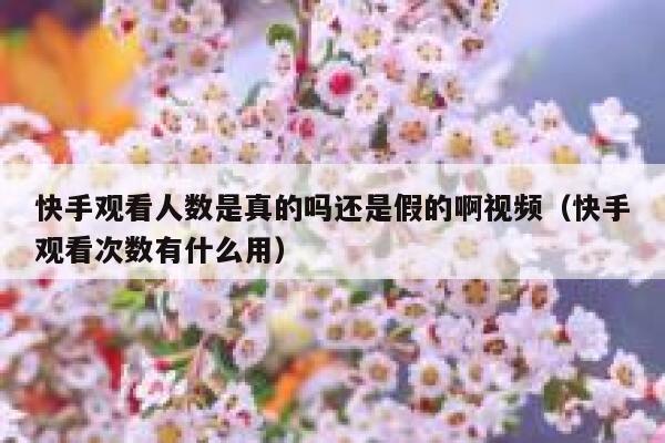 快手观看人数是真的吗还是假的啊视频（快手观看次数有什么用） 第1张