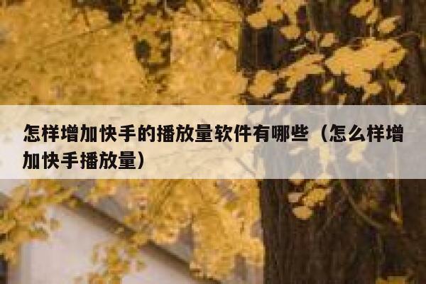 怎样增加快手的播放量软件有哪些（怎么样增加快手播放量） 第1张