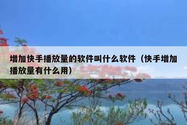 增加快手播放量的软件叫什么软件（快手增加播放量有什么用） 第1张