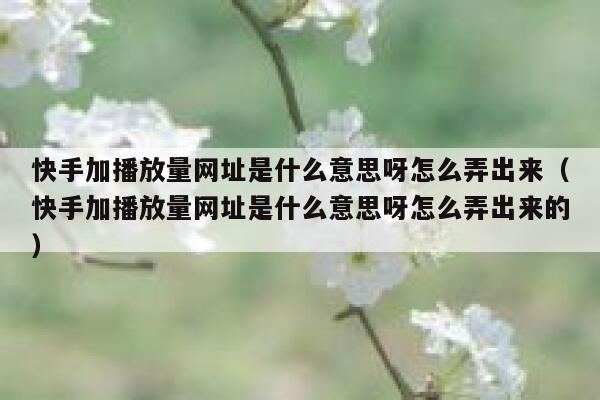 快手加播放量网址是什么意思呀怎么弄出来（快手加播放量网址是什么意思呀怎么弄出来的） 第1张