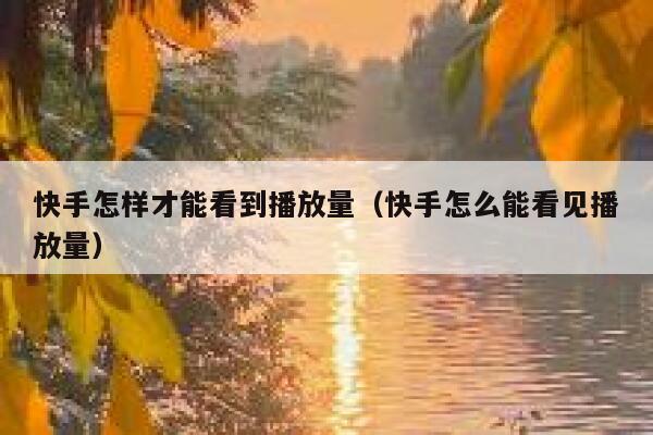 快手怎样才能看到播放量（快手怎么能看见播放量） 第1张