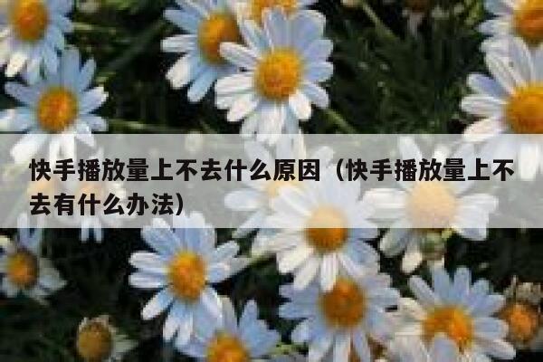 快手播放量上不去什么原因（快手播放量上不去有什么办法） 第1张