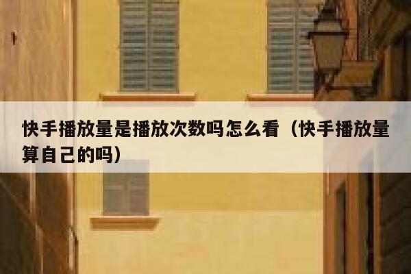 快手播放量是播放次数吗怎么看（快手播放量算自己的吗） 第1张