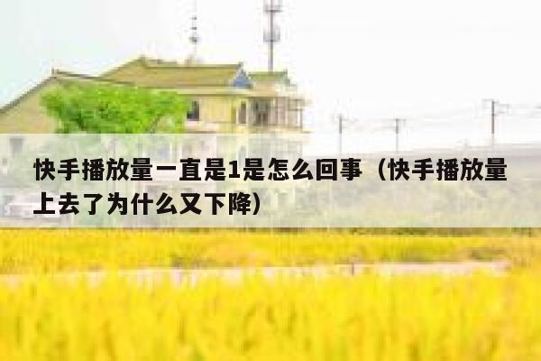 快手播放量一直是1是怎么回事（快手播放量上去了为什么又下降） 第1张