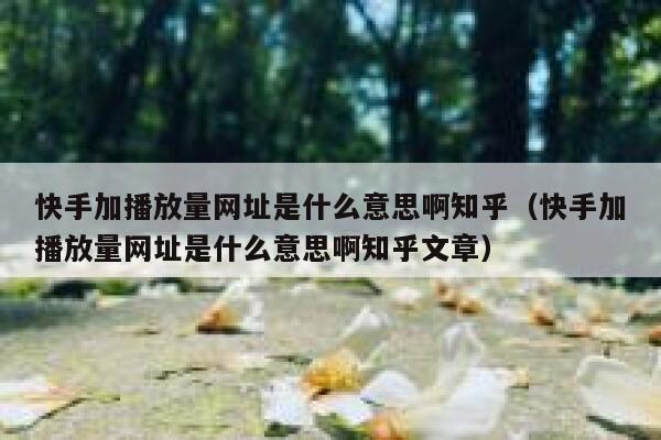 快手加播放量网址是什么意思啊知乎（快手加播放量网址是什么意思啊知乎文章） 第1张