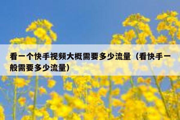看一个快手视频大概需要多少流量（看快手一般需要多少流量） 第1张