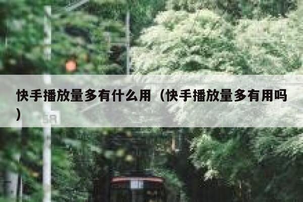 快手播放量多有什么用（快手播放量多有用吗） 第1张