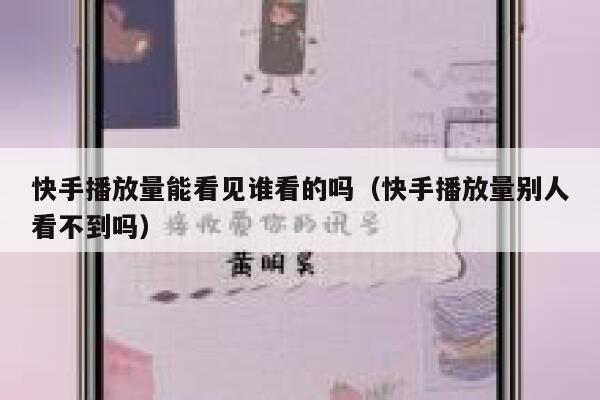 快手播放量能看见谁看的吗（快手播放量别人看不到吗） 第1张